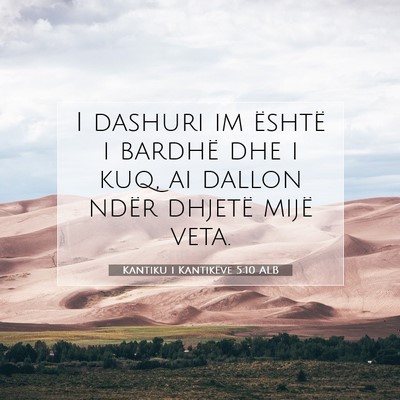 Picture 07 - Kantiku i Kantikëve 5:10 ALB - I dashuri im është i bardhë dhe i kuq, ai - Bible Verse Picture