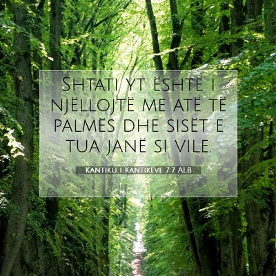 Picture 07 - Kantiku i Kantikëve 7:7 ALB - Shtati yt është i njëllojtë me atë të - Bible Verse Picture