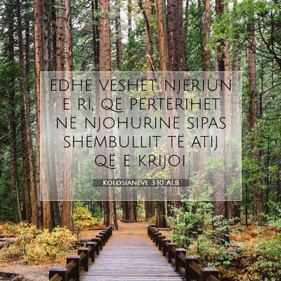 Picture 07 - Kolosianëve 3:10 ALB - edhe veshët njeriun e ri, që përtërihet në - Bible Verse Picture