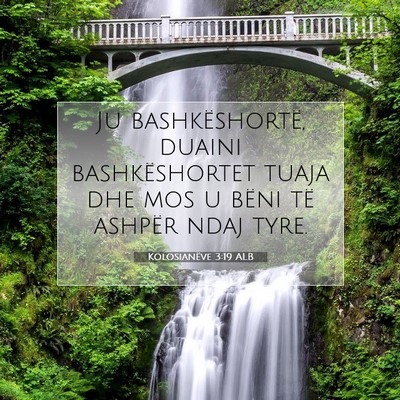 Picture 07 - Kolosianëve 3:19 ALB - Ju bashkëshortë, duaini bashkëshortet tuaja - Bible Verse Picture
