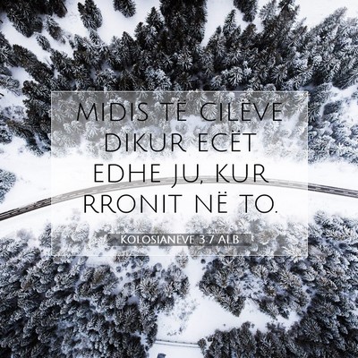 Picture 07 - Kolosianëve 3:7 ALB - midis të cilëve dikur ecët edhe ju, kur rronit - Bible Verse Picture