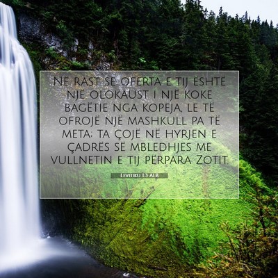 Picture 07 - Levitiku 1:3 ALB - Në rast se oferta e tij është një olokaust i - Bible Verse Picture