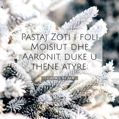 Picture 07 - Levitiku 11:1 ALB - Pastaj Zoti i foli Moisiut dhe Aaronit, duke u - Bible Verse Picture