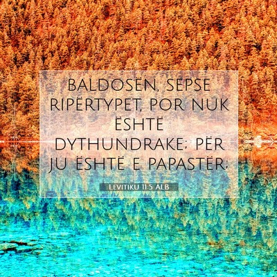 Picture 07 - Levitiku 11:5 ALB - baldosën, sepse ripërtypet, por nuk është - Bible Verse Picture