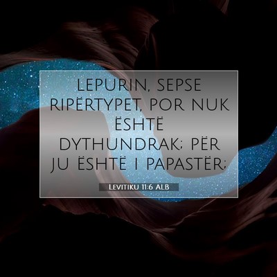Picture 07 - Levitiku 11:6 ALB - lepurin, sepse ripërtypet, por nuk është - Bible Verse Picture