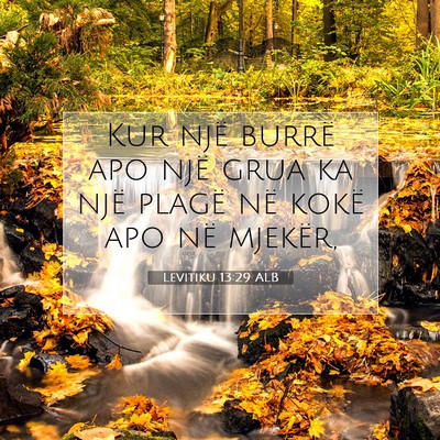 Picture 07 - Levitiku 13:29 ALB - Kur një burrë apo një grua ka një plagë në - Bible Verse Picture