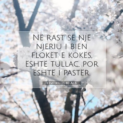Picture 07 - Levitiku 13:40 ALB - Në rast se një njeriu i bien flokët e kokës, - Bible Verse Picture