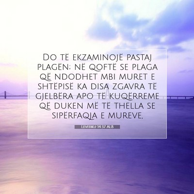 Picture 07 - Levitiku 14:37 ALB - Do të ekzaminojë pastaj plagën; në qoftë se - Bible Verse Picture