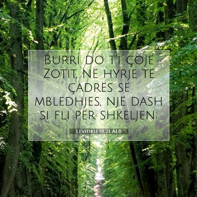 Picture 07 - Levitiku 19:21 ALB - Burri do t’i çojë Zotit, në hyrje të - Bible Verse Picture