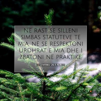 Picture 07 - Levitiku 26:3 ALB - Në rast se silleni simbas statuteve të mia, në - Bible Verse Picture