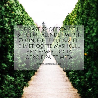 Picture 07 - Levitiku 3:6 ALB - Në rast se oferta e tij, si flijim falënderimi - Bible Verse Picture