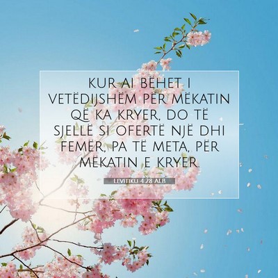 Picture 07 - Levitiku 4:28 ALB - kur ai bëhet i vetëdijshëm për mëkatin që - Bible Verse Picture