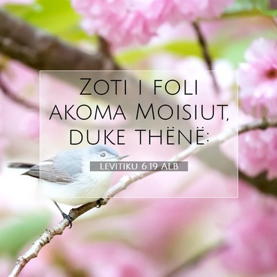 Picture 07 - Levitiku 6:19 ALB - Zoti i foli akoma Moisiut, duke - Bible Verse Picture