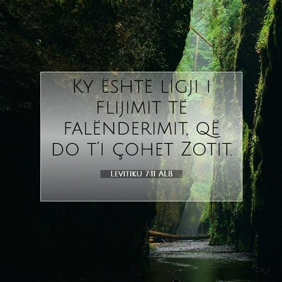 Picture 07 - Levitiku 7:11 ALB - Ky është ligji i flijimit të falënderimit, - Bible Verse Picture