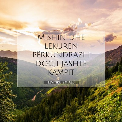 Picture 07 - Levitiku 9:11 ALB - Mishin dhe lëkurën përkundrazi i dogji jashtë - Bible Verse Picture