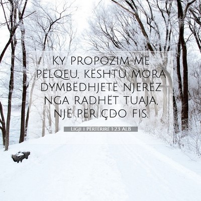 Picture 07 - Ligji i Përtërirë 1:23 ALB - Ky propozim më pëlqeu, kështu mora - Bible Verse Picture