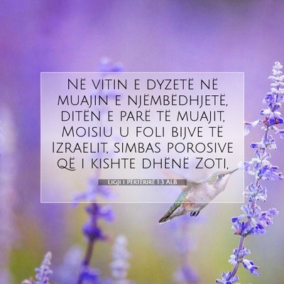Picture 07 - Ligji i Përtërirë 1:3 ALB - Në vitin e dyzetë në muajin e njëmbëdhjetë, - Bible Verse Picture