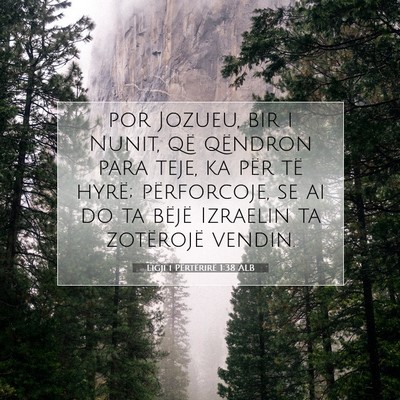 Picture 07 - Ligji i Përtërirë 1:38 ALB - por Jozueu, bir i Nunit, që qëndron para teje, - Bible Verse Picture