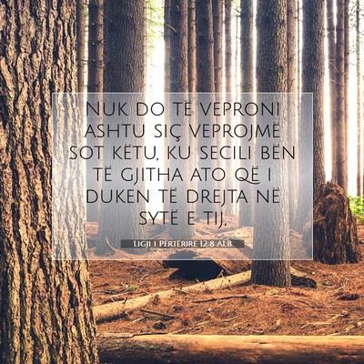 Picture 07 - Ligji i Përtërirë 12:8 ALB - Nuk do të veproni ashtu siç veprojmë sot - Bible Verse Picture