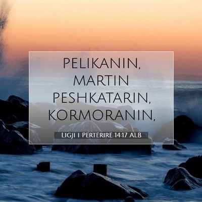 Picture 07 - Ligji i Përtërirë 14:17 ALB - pelikanin, martin peshkatarin, - Bible Verse Picture