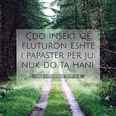 Picture 07 - Ligji i Përtërirë 14:19 ALB - Çdo insekt që fluturon është i papastër për - Bible Verse Picture