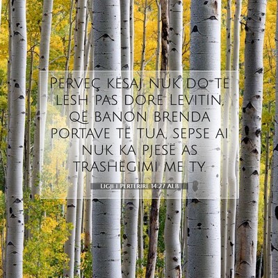 Picture 07 - Ligji i Përtërirë 14:27 ALB - Përveç kësaj nuk do të lesh pas dore Levitin, - Bible Verse Picture