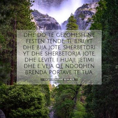 Picture 07 - Ligji i Përtërirë 16:14 ALB - dhe do të gëzohesh në festën tënde, ti, biri - Bible Verse Picture