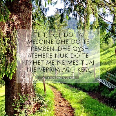Picture 07 - Ligji i Përtërirë 19:20 ALB - Të tjerët do ta mësojnë dhe do të trëmben, - Bible Verse Picture