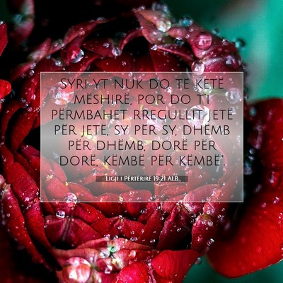 Picture 07 - Ligji i Përtërirë 19:21 ALB - Syri yt nuk do të ketë mëshirë, por do t’i - Bible Verse Picture