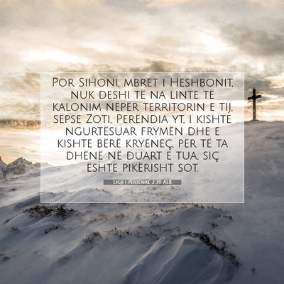 Picture 07 - Ligji i Përtërirë 2:30 ALB - Por Sihoni, mbret i Heshbonit, nuk deshi të na - Bible Verse Picture