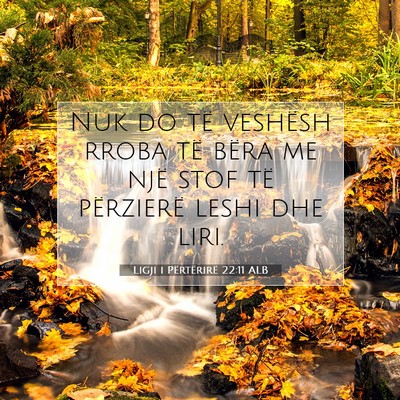 Picture 07 - Ligji i Përtërirë 22:11 ALB - Nuk do të veshësh rroba të bëra me një stof - Bible Verse Picture