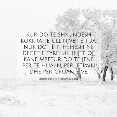 Picture 07 - Ligji i Përtërirë 24:20 ALB - Kur do të shkundësh kokrrat e ullinjve të tua, - Bible Verse Picture