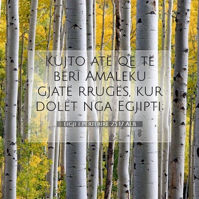 Picture 07 - Ligji i Përtërirë 25:17 ALB - Kujto atë që të bëri Amaleku gjatë rrugës, - Bible Verse Picture