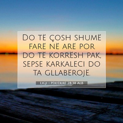 Picture 07 - Ligji i Përtërirë 28:38 ALB - Do të çosh shumë farë në arë por do të - Bible Verse Picture