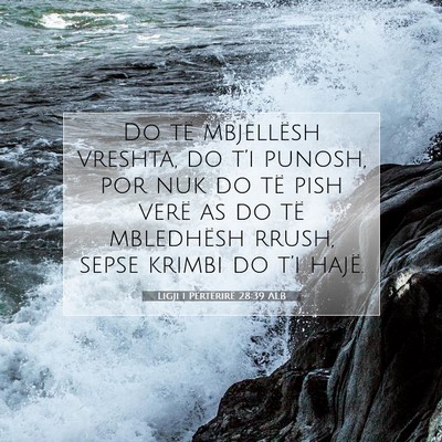 Picture 07 - Ligji i Përtërirë 28:39 ALB - Do të mbjellësh vreshta, do t’i punosh, por - Bible Verse Picture
