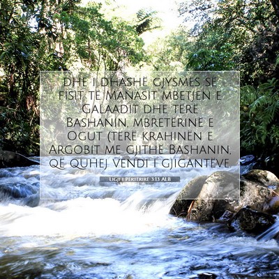 Picture 07 - Ligji i Përtërirë 3:13 ALB - dhe i dhashë gjysmës së fisit të Manasit - Bible Verse Picture