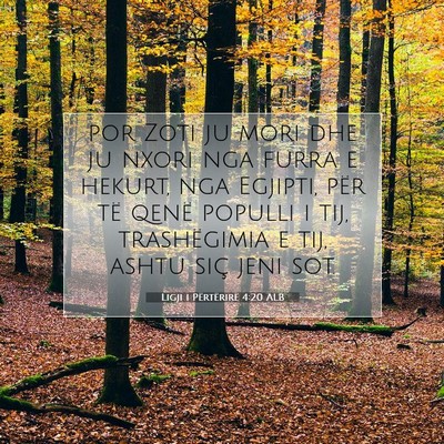 Picture 07 - Ligji i Përtërirë 4:20 ALB - por Zoti ju mori dhe ju nxori nga furra e hekurt, - Bible Verse Picture