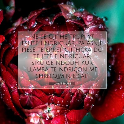 Picture 07 - Luka 11:36 ALB - Në se gjithë trupi yt është i ndriçuar, pa - Bible Verse Picture