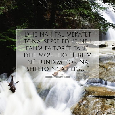 Picture 07 - Luka 11:4 ALB - Dhe na i fal mëkatet tona, sepse edhe ne i falim - Bible Verse Picture