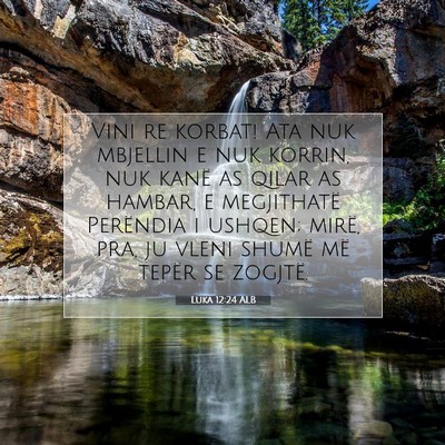 Picture 07 - Luka 12:24 ALB - Vini re korbat! Ata nuk mbjellin e nuk korrin, - Bible Verse Picture