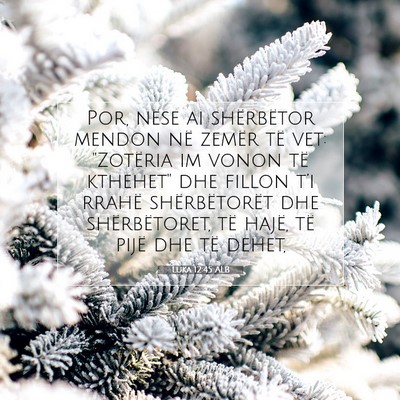 Picture 07 - Luka 12:45 ALB - Por, nëse ai shërbëtor mendon në zemër të - Bible Verse Picture