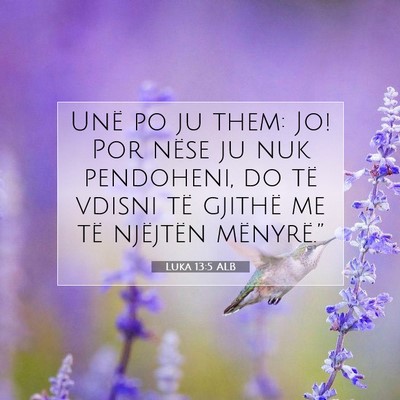 Picture 07 - Luka 13:5 ALB - Unë po ju them: Jo! Por nëse ju nuk pendoheni, - Bible Verse Picture