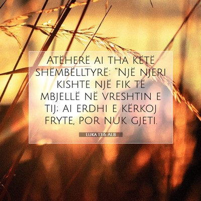 Picture 07 - Luka 13:6 ALB - Atëherë ai tha këtë shëmbëlltyrë: “Një - Bible Verse Picture