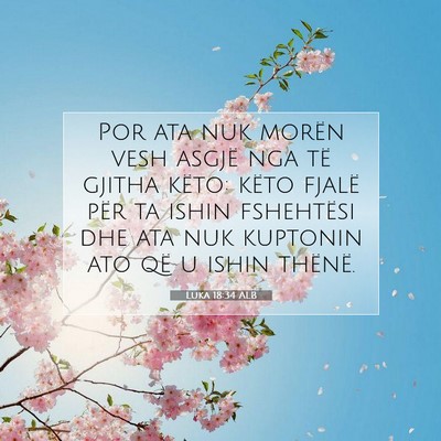 Picture 07 - Luka 18:34 ALB - Por ata nuk morën vesh asgjë nga të gjitha - Bible Verse Picture