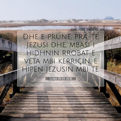 Picture 07 - Luka 19:35 ALB - Dhe e prunë, pra, te Jezusi dhe, mbasi i hidhnin - Bible Verse Picture