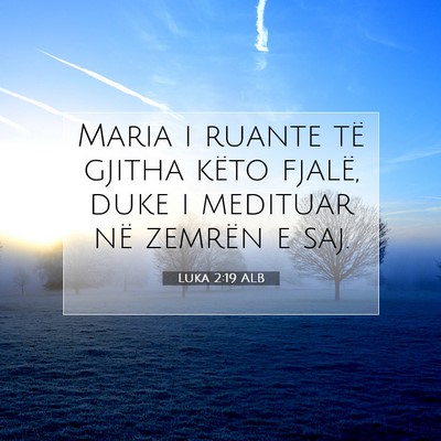 Picture 07 - Luka 2:19 ALB - Maria i ruante të gjitha këto fjalë, duke i - Bible Verse Picture