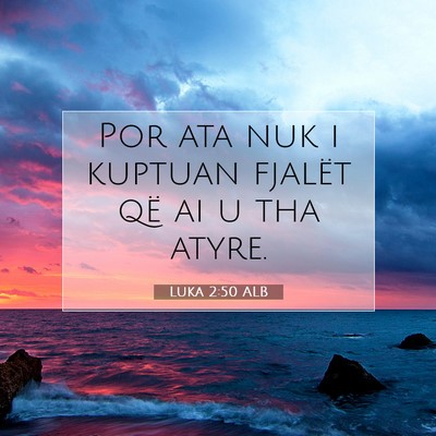 Picture 07 - Luka 2:50 ALB - Por ata nuk i kuptuan fjalët që ai u tha - Bible Verse Picture