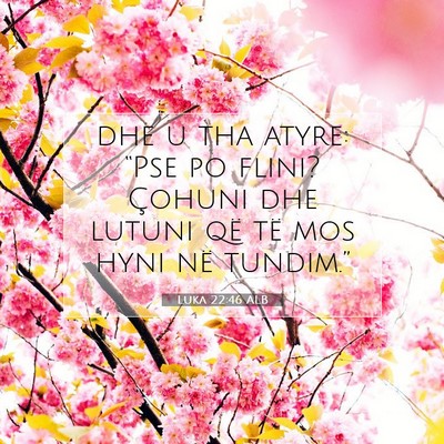 Picture 07 - Luka 22:46 ALB - dhe u tha atyre: “Pse po flini? Çohuni dhe - Bible Verse Picture