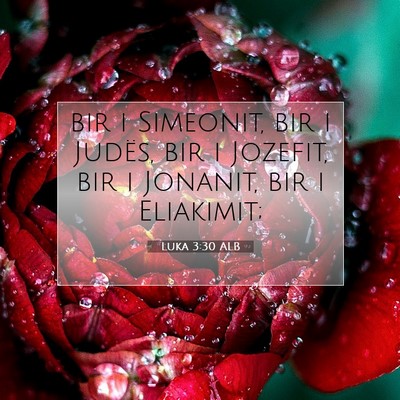 Picture 07 - Luka 3:30 ALB - bir i Simeonit, bir i Judës, bir i Jozefit, bir - Bible Verse Picture