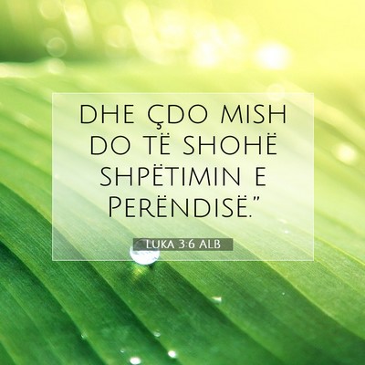 Picture 07 - Luka 3:6 ALB - dhe çdo mish do të shohë shpëtimin e - Bible Verse Picture